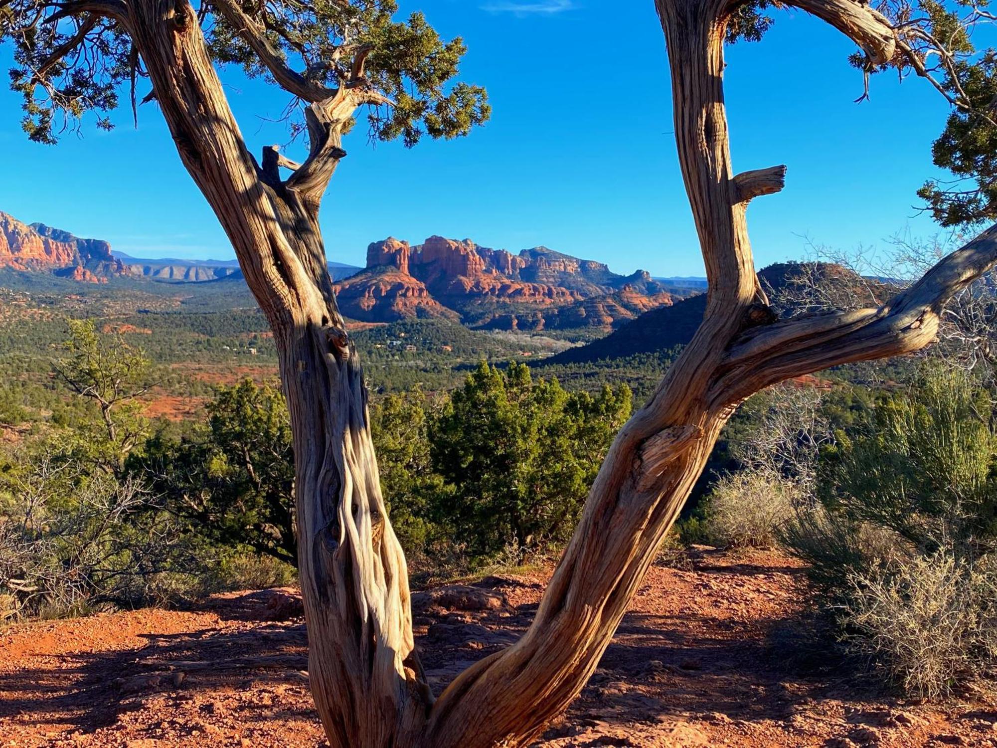 Sedona'S Paradise Found, Saltwater Pool And Hot Tub, Private Oasis! 外观 照片
